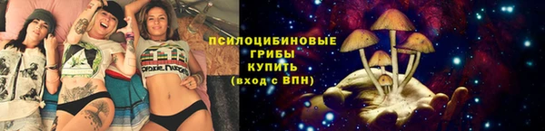 mdma Гусиноозёрск