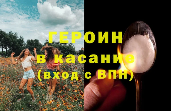 PSILOCYBIN Гусь-Хрустальный
