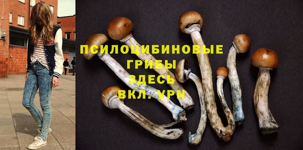 соль курить ск Гусев