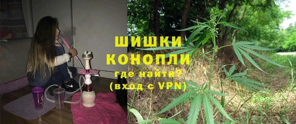 PSILOCYBIN Гусь-Хрустальный